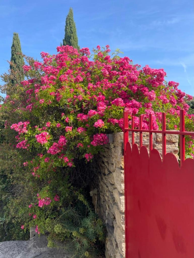 Bed and Breakfast La Borie En Provence Горд Екстер'єр фото